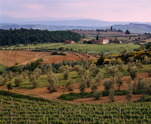 View across the Felsina estate from the top of   La Rancia vineyard  grapes from here make Vigneto Rancia a singlevineyard Chianti Classico Riserva  Castelnuovo Berardenga Tuscany Italy