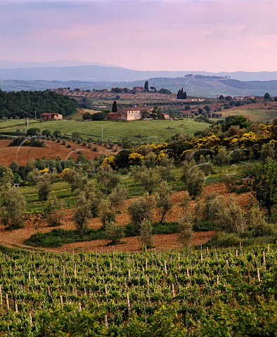 View across the Felsina estate from the top of La Rancia vineyard grapes from here make Vigneto Rancia a single vineyard Chianti Classico Riserva Castelnuovo Berardenga Tuscany Italy    