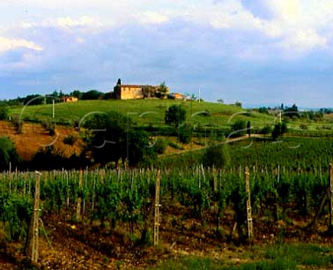 View over the Fontalloro vineyard on the estate of   Felsina Grapes from here are used to make the pure   Sangiovese vdt Fontalloro     Castelnuovo Berardenga Tuscany Italy