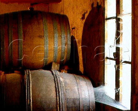Barrels of Vin Santo Made of semidried Malvasia   and Trebbiano grapes the barrels are sealed with wax   and left for about five years traditionally in a   loft        Isole e Olena Tuscany Italy  Chianti Classico