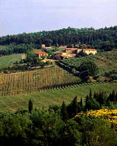 Vineyards and winery of Isole e Olena   Paolo De Marchi owns the two hamlets of Isole and   Olena and the surrounding vineyards olive groves and   forest  Isole Tuscany Italy   Chianti Classico
