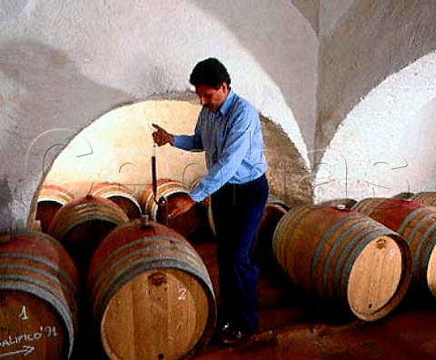 Consultant winemaker Maurizio Castelli taking a   sample of Balifico a vdt of Sangioveto Mammolo and   Cabernet from barrique in the cellars of Castello di   Volpaia Tuscany Italy
