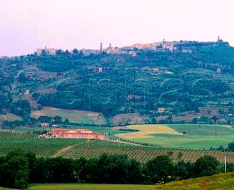 Winery and vineyards of Val di Suga below the town   of Montalcino Tuscany Italy