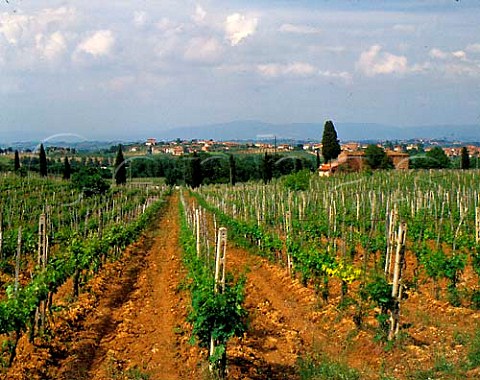 Vineyards and property of Poderi Boscarelli at   Cervognano Montenero with village of Acquaviva   beyond near Montepulciano Tuscany DOCG Vino   Nobile di Montepulciano