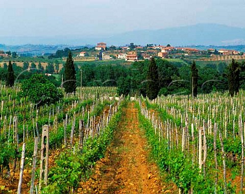 Vineyards of Poderi Boscarelli at Cervognano   Montenero with village of Acquaviva beyond near   Montepulciano Tuscany DOCG Vino Nobile di   Montepulciano