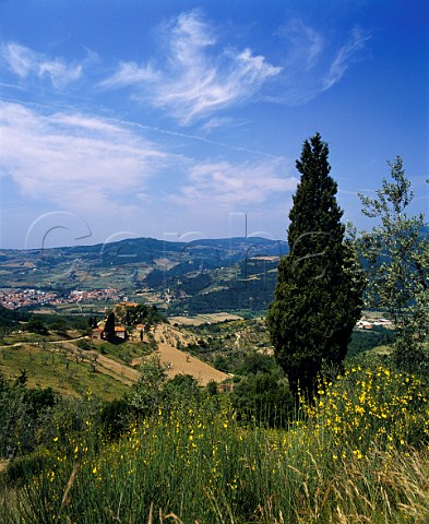 The town of Rufina in the Sieve Valley viewed from   Castiglioni Tuscany Italy     Chianti Rufina