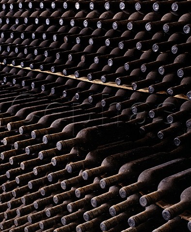 Bottles of Chianti Rufina maturing in the cellars of   Selvapiana Pontassieve Tuscany Italy