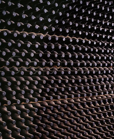 Bottles of Chianti maturing in the cellars of Selvapiana Pontassieve Tuscany Italy Chianti Rufina