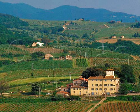 The vineyards and house of Selvapiana on the slopes   of the Sieve valley near Pontassieve Tuscany   Chianti Rufina