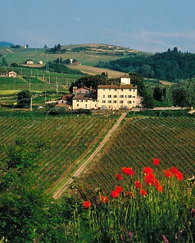 The vineyards and house of Selvapiana on the slopes   of the Sieve valley near Pontassieve Tuscany   Chianti Rufina