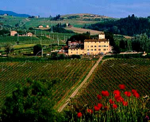The vineyards and house of Selvapiana on the slopes   of the Sieve Valley near Pontassieve Tuscany   Italy               Chianti Rufina