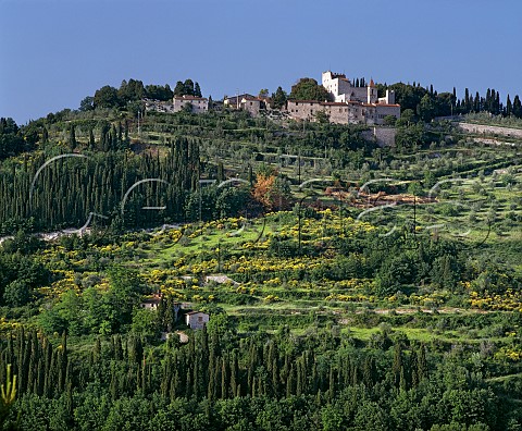 Castello di Nipozzano of Marchesi deFrescobaldi Pontassieve Tuscany Italy Chianti Rufina