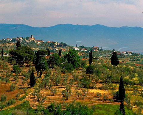 View over Tenuta di Capezzana owned by Ugo Contini   Bonacossi and family at Seano di Carmignano   Tuscany Italy    Carmignano
