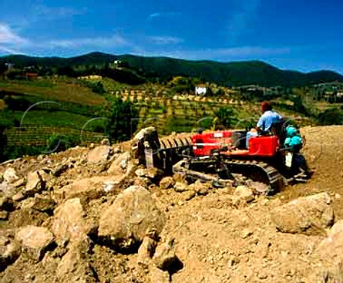 Preparing a new vineyard on Tenuta di Capezzana The   soil has been ploughed to a depth of one metre to   remove the rocks   Seano di Carmignano Tuscany Italy  Carmignano
