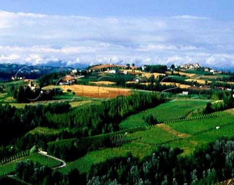 Vineyard landscape near Barolo  Novello is the   village on right    Piemonte Italy