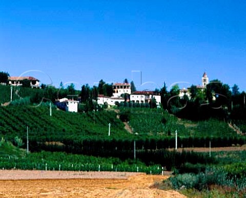 Cantine of Renato Ratti and its Abbazia   dell Annunziata above the Conca dell Abbazia dell   Annunziata vineyard   Below the hilltop town of La   Morra Piemonte Italy    Barolo