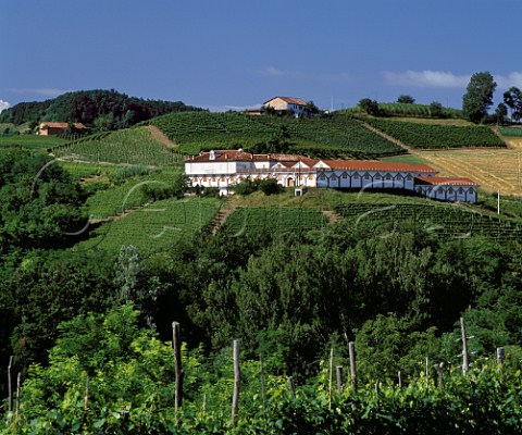 Vineyards and winery of Poderi Aldo Conterno Monforte dAlba Piemonte Italy   Barolo