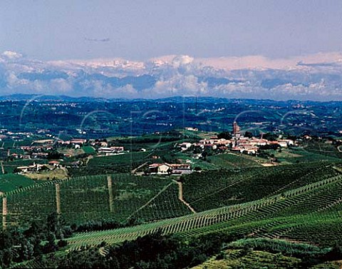 Vineyards surround Serralunga dAlba with the  Alps in the far distance Piemonte Italy  Barolo
