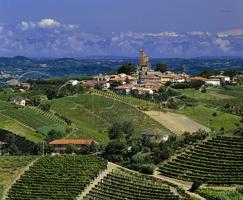 Vineyards around Serralunga dAlba and its medieval castle with the Alps in far distance   Piemonte Italy   Barolo