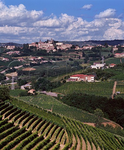 Vineyards of Barbaresco with the town of Neive on the ridge Piemonte Italy