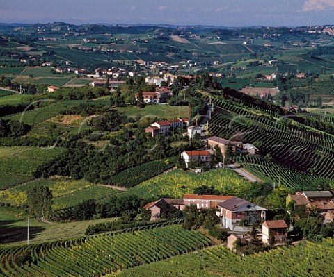 Vineyards around village of Rinaldi near Canelli south of Asti Piemonte Italy