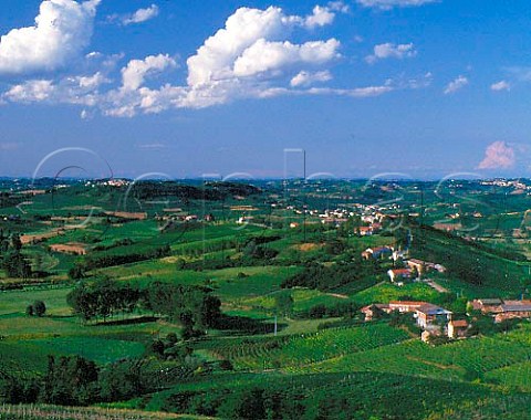 Village of Rimaldi amidst the vineyards near   Canelli Piemonte Italy   Asti region