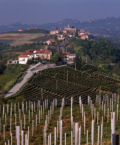 View from new chardonnay vineyard to winery of Poderi Aldo Conterno with village of Castiglione Falletto beyond   Monforte dAlba Piemonte Italy