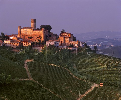 Castiglione Falletto and Bricco Rocche vineyard at dusk Piemonte Italy Barolo