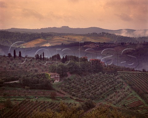 Dawn in the vineyards near Gaiole in Chianti Tuscany Italy Chianti Classico