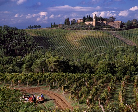 Pickers in vineyard of Isole e Olena with Castello di Cortine in the distance   Near Barberino Val dElsa Tuscany Italy   Chianti Classico