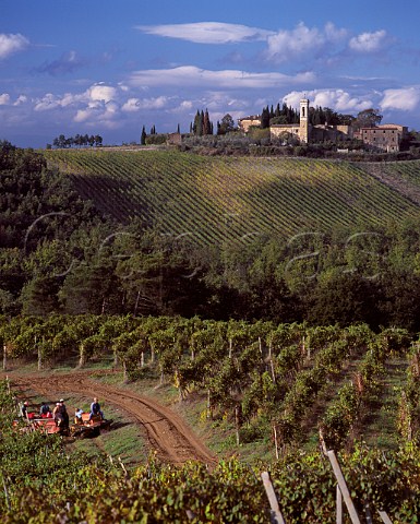 Workers in vineyard of Isole e Olena with Castello di Cortine in the distance Barberino Val dElsa Tuscany Italy Chianti Classico