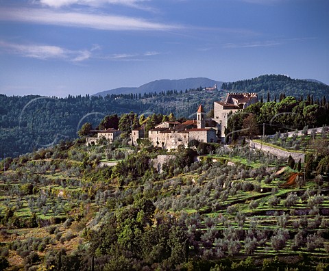 Olive groves surround the Castello di Nipozzano property of Marchesi de Frescobaldi Pontassieve   Tuscany Italy Chianti Rufina