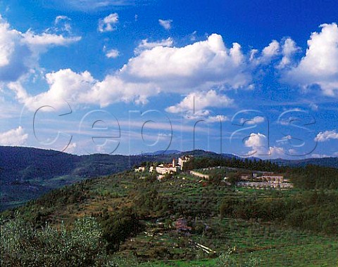 Olive groves surround the Castello di Nipozzano   property of Marchesi de Frescobaldi Pontassieve   Tuscany Italy Chianti Rufina
