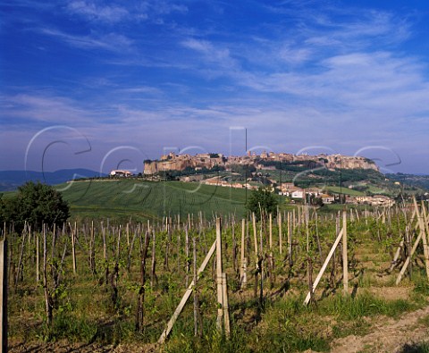 View over vineyard to the hilltop town of Orvieto Umbria Italy Orvieto