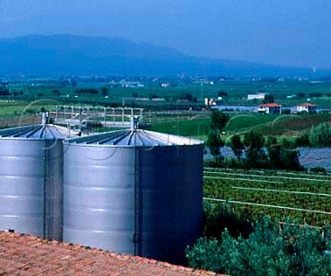 Part of the Casale del Giglio winery and its   180ha vineyard  Borgo Montello Lazio Italy   DOC Aprilia