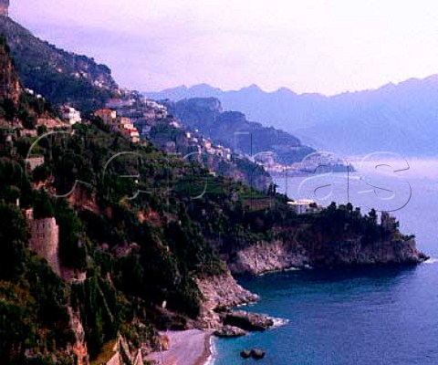 View along the coast towards Amalfi from Conca dei   Marini  note the terraced vineyards on the slopes   Campania Italy