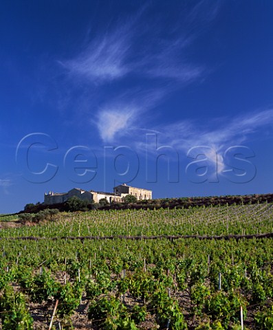 Old farm buildings on ridge above vineyards east of   Marsala Trapani province Sicily  DOC Marsala
