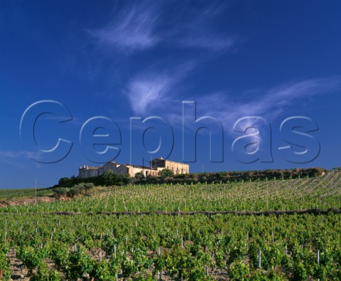 Old farm buildings amongst the vineyards east of Marsala Trapani province Sicily DOC Marsala