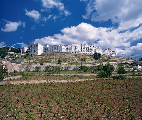 The town of Locorotondo viewed over vineyard Puglia Italy