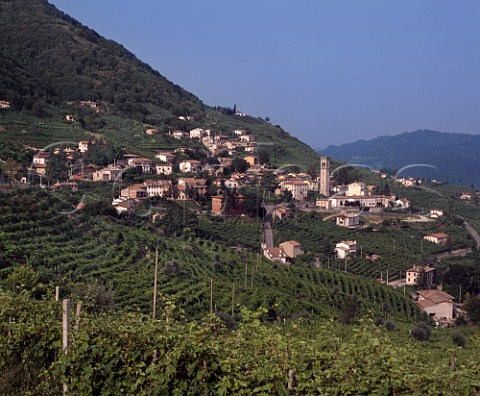 Village of Santo Stefano viewed from vineyards of CaSalina Veneto Italy Prosecco di ConeglianoValdobbiadene