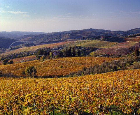 View over vineyard of Fontodi with Castello dei Rampolla beyond Panzano in Chianti Tuscany   Italy Chianti Classico