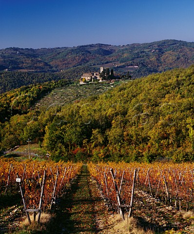 Castello di San Pollo in Rosso Gaiole in Chianti Tuscany Italy Chianti Classico