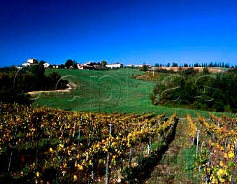 San Giusto a Rentennano viewed over its vineyards   near Monti Tuscany Italy Chianti Classico