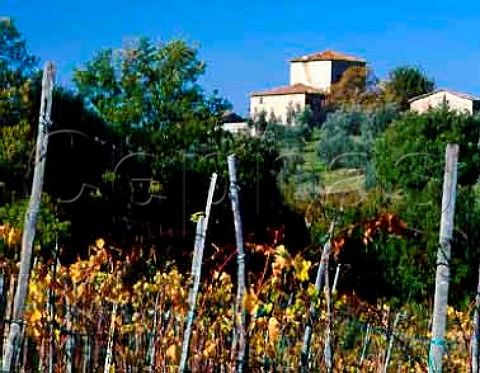 San Giusto a Rentennano viewed from its vineyards   near Monti Tuscany Italy Chianti Classico