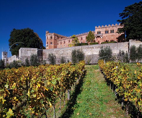Castello di Brolio viewed from its vineyard  Brolio Tuscany Italy Chianti Classico