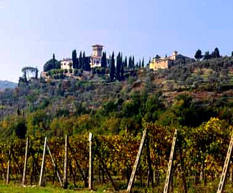 Castello Vicchiomaggio Greve in Chianti   Tuscany Italy   Chianti Classico