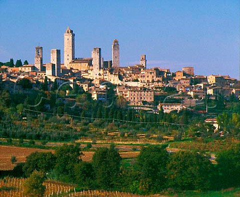 San Gimignano and its medieval towers viewed over   vineyard of Monte Oliveto  Tuscany Italy   Vernaccia di San Gimignano  Chianti Colli Senesi