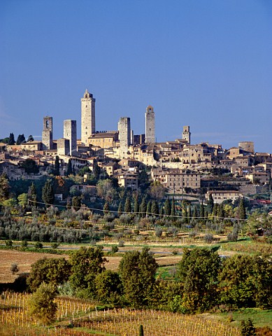 San Gimignano and its medieval towers viewed over vineyard of Monte Oliveto  Tuscany Italy Vernaccia di San Gimignano  Chianti Colli Senesi