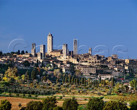San Gimignano and its medieval towers  Tuscany Italy   Vernaccia di San Gimignano  Chianti Colli Senesi