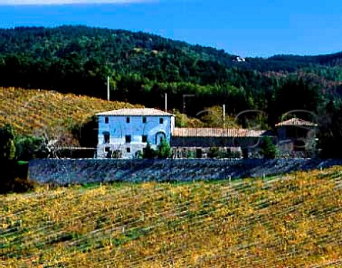 Vineyard of Castello di Brolio Tuscany Italy    Chianti Classico